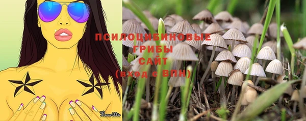 дмт Михайлов