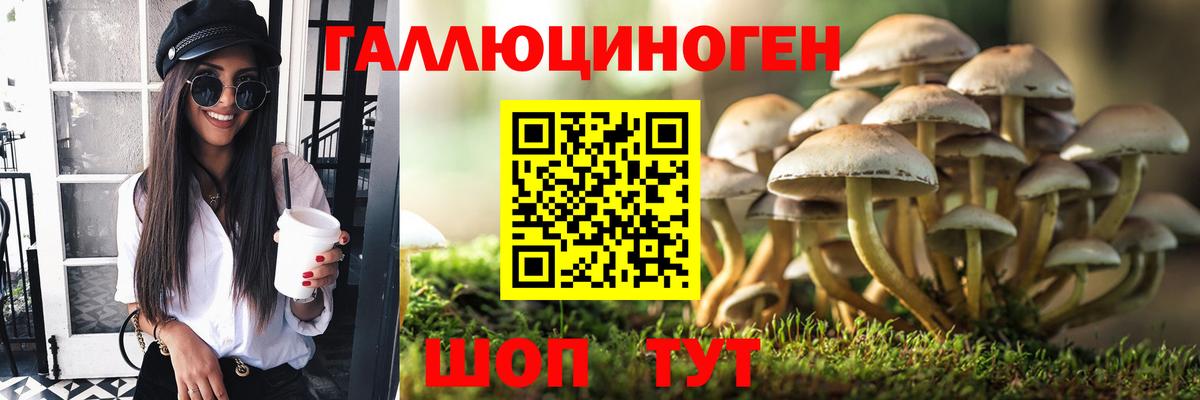 Псилоцибиновые грибы Magic Shrooms Морозовск