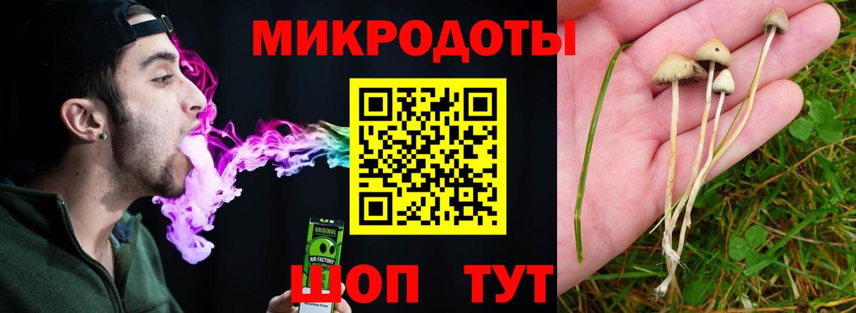 Галлюциногенные грибы мухоморы  Псилоцибиновые грибы MAGIC MUSHROOMS  Морозовск  Вход с VPN 