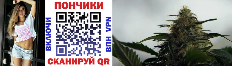 Шишки марихуана конопля shop Telegram Морозовск мега